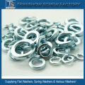 SUS304 / A2 Stainless Steel Spring Washer